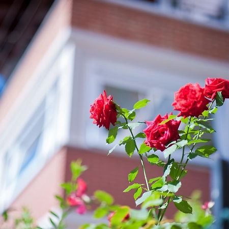 B&B Il Pettirosso Malonno 외부 사진