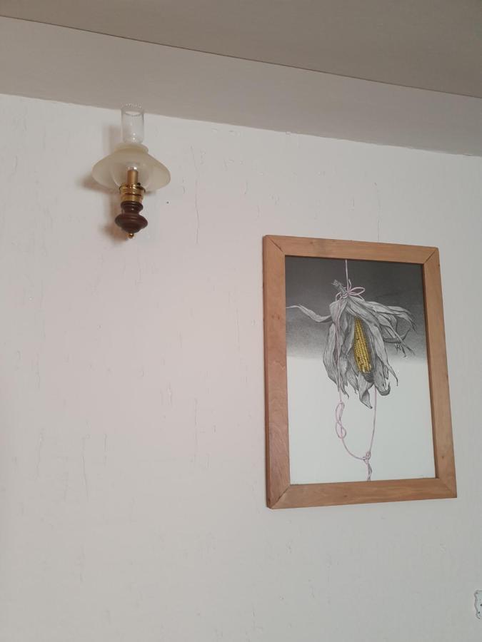 B&B Il Pettirosso Malonno 외부 사진