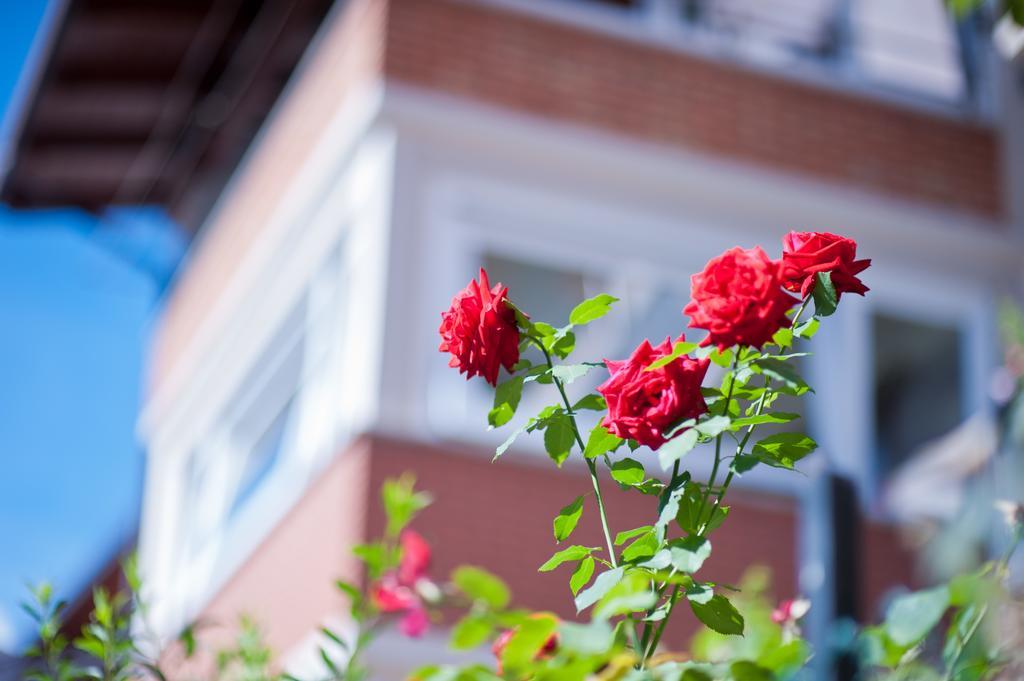 B&B Il Pettirosso Malonno 외부 사진