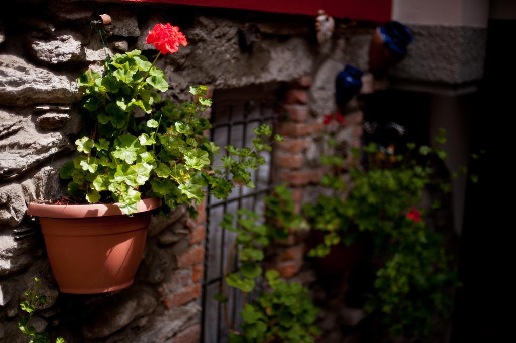 B&B Il Pettirosso Malonno 외부 사진